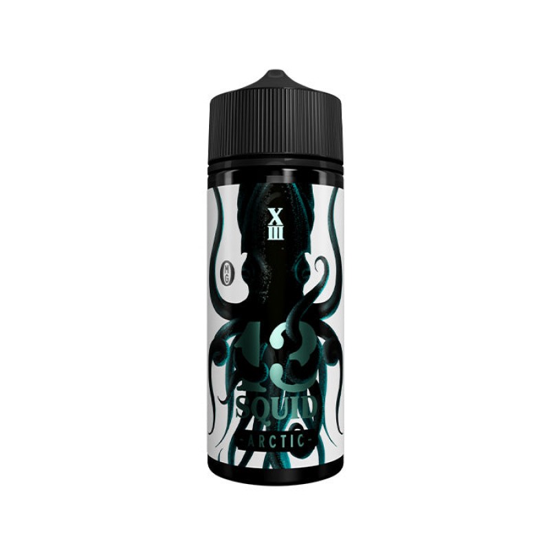 13 Squid Arctic 100ml Shortfill E-Liquid