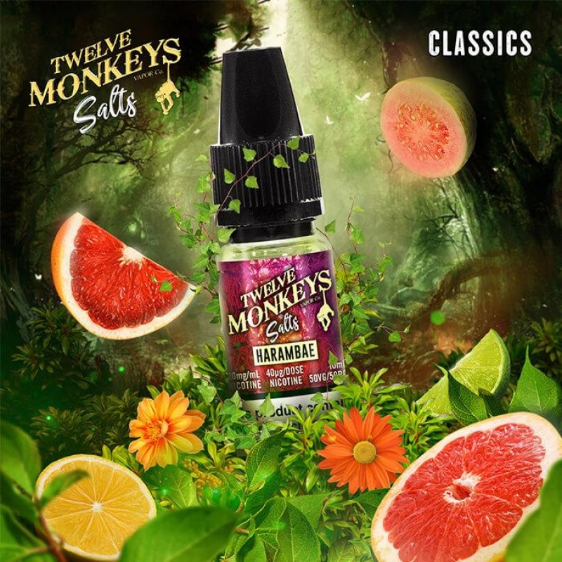 Twelve Monkeys Salts Harambae | Vape Juice | Next Day Delivery