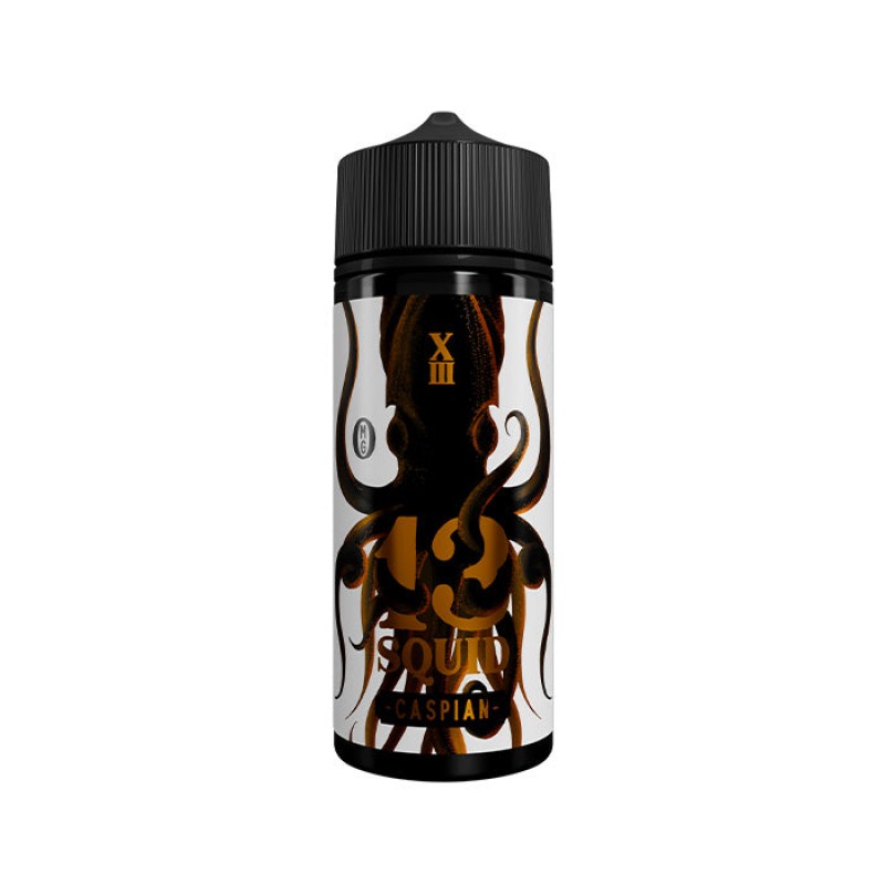 13 Squid Caspian 100ml Shortfill E-Liquid