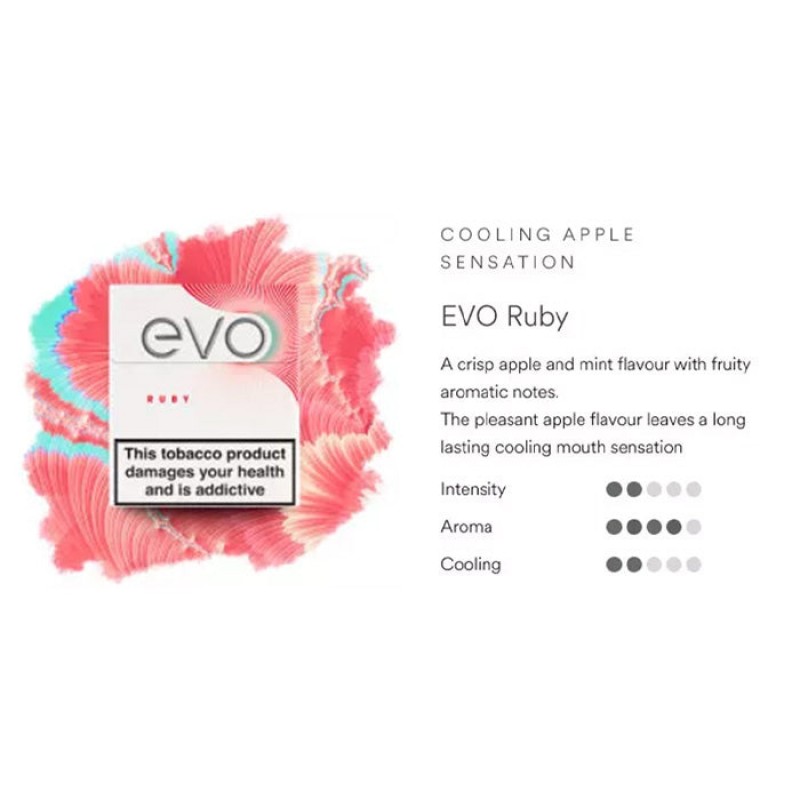 Ploom Evo Tobacco Sticks | Heat Not Burn